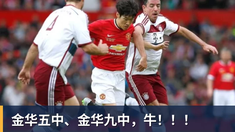 FIA出手！先从日本站小试牛刀…… - 九游体育(中国)官方网站 - 九游 sports